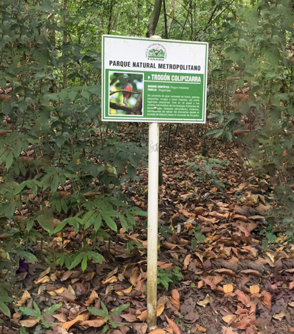 Visita pedagógica al Parque Natural Metropolitano