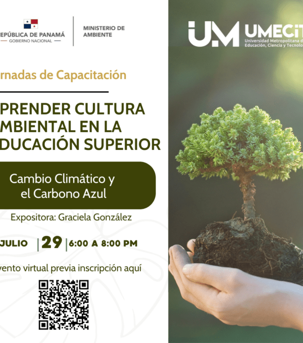 Capacitación sobre Cambio Climático y Carbono Azul en el marco de «Aprender Cultura Ambiental en la Educación Superior»