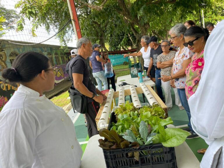 Estudiantes de Seguridad y Salud Ocupacional de UMECIT impulsan prácticas sostenibles en Bethania, transformando residuos vegetales en abono orgánico