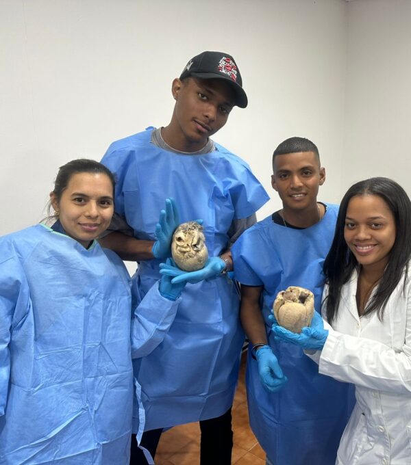 Explorando el Sistema Cardiovascular: una clase innovadora para estudiantes de Psicología