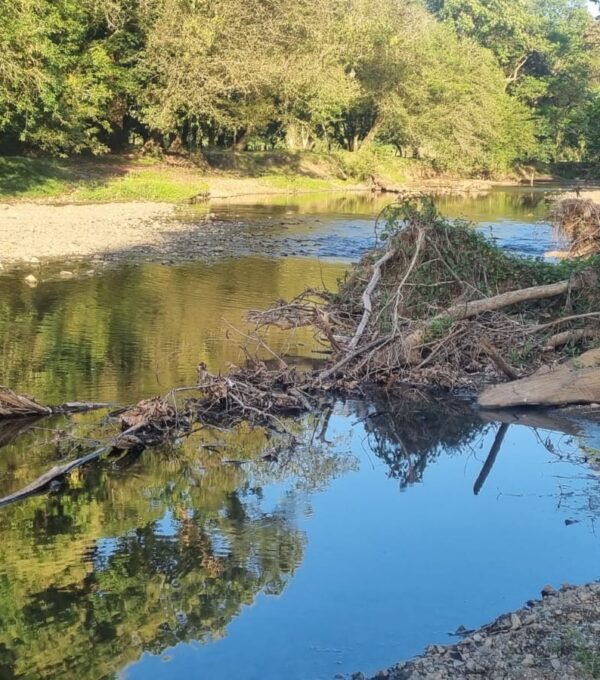 Investigación sobre la problemática ambiental del río Lovaina