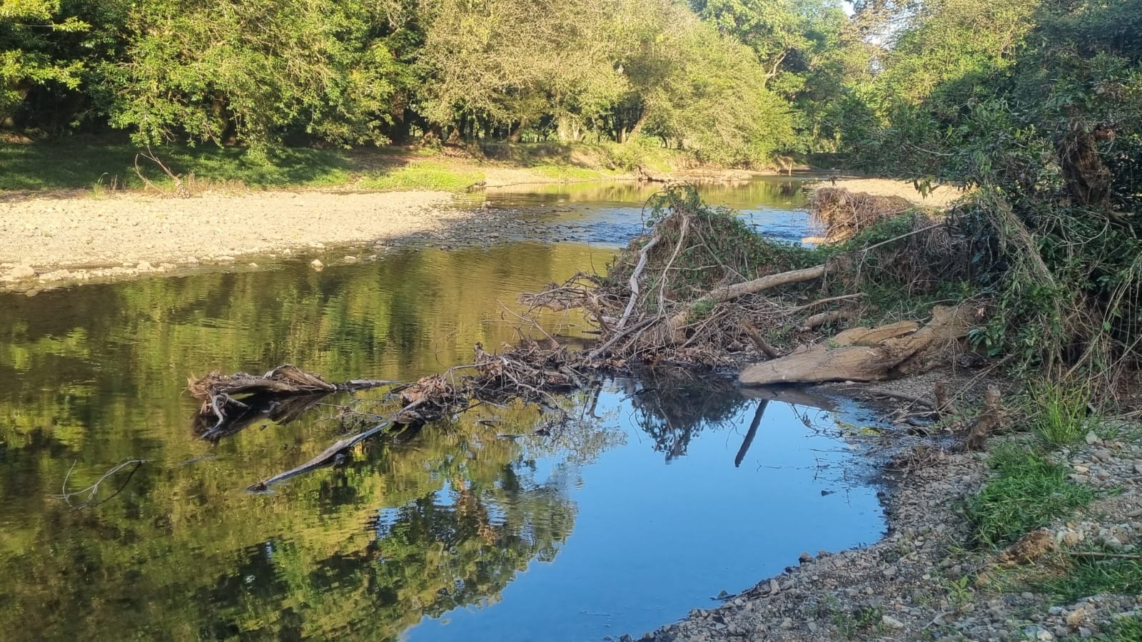 Investigación sobre la problemática ambiental del río Lovaina