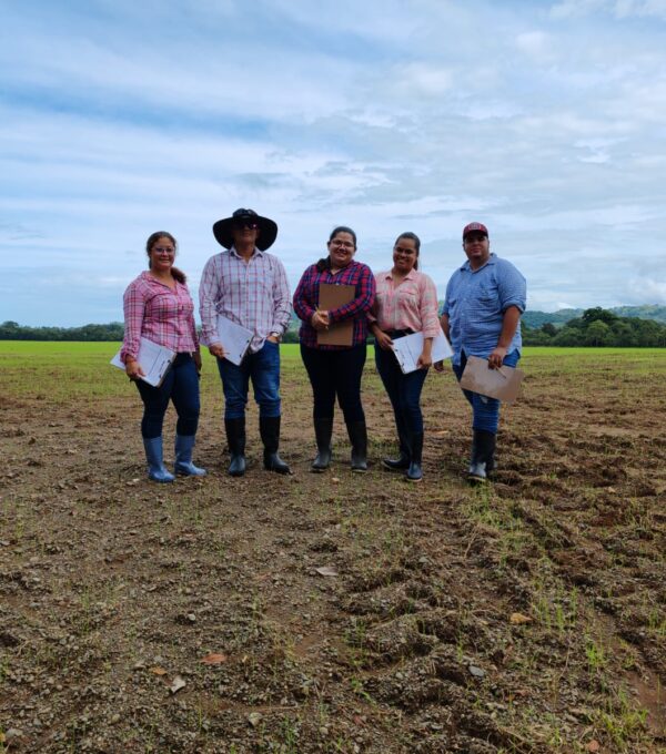 Desarrollamos segunda jornada de investigación sobre Seguridad y Salud Ocupacional en actividades agrícolas de Mariato