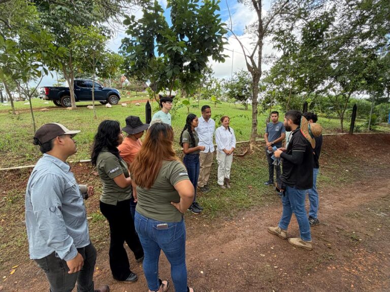 Imagen de WhatsApp 2025-10-14 a las 15.27.40_9f86ed3f