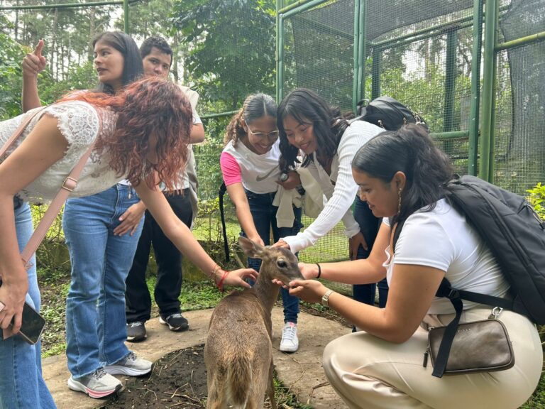 WhatsApp Image 2025-11-15 at 3.59.03 PM (2)