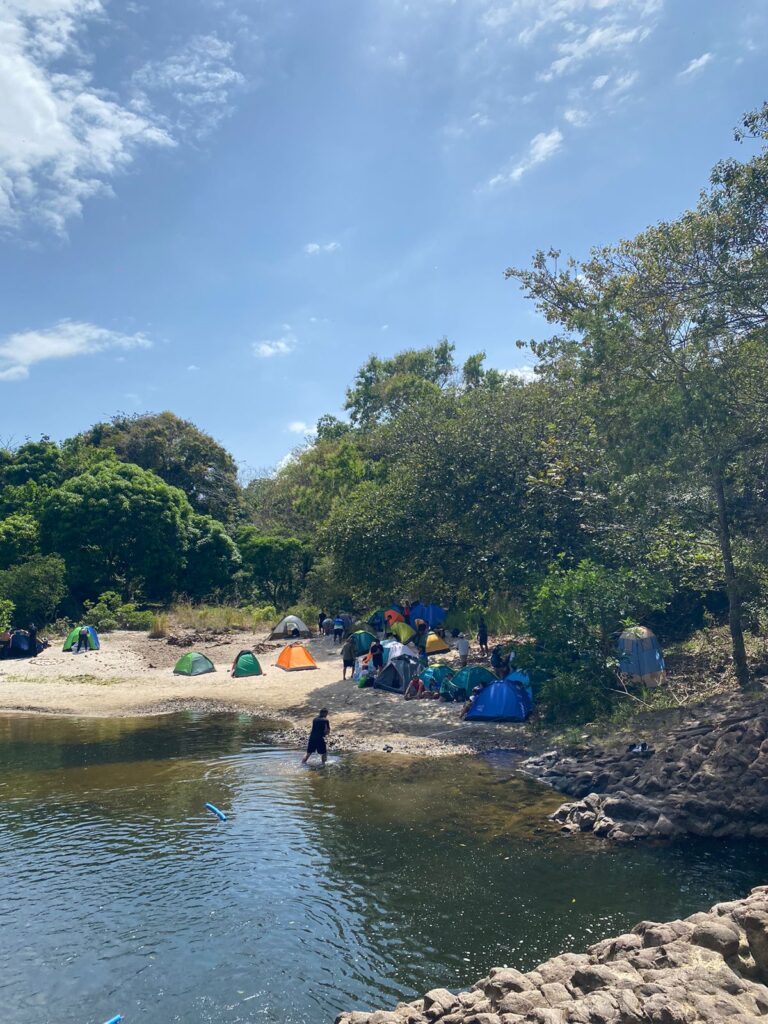 4246fcf6-f50a-4127-bf76-cdd9778f1e56 (1)