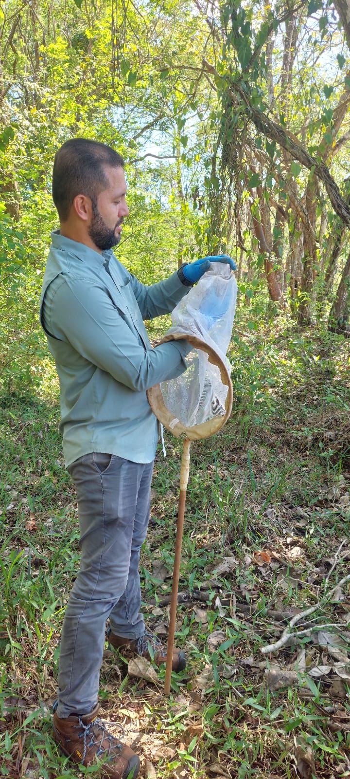 428ebab5-118e-40b6-8303-945ed8103a66