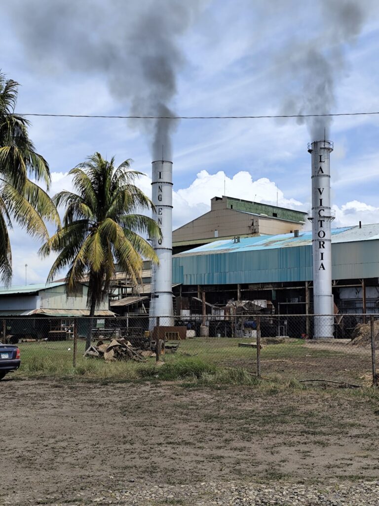 WhatsApp Image 2026-04-09 at 2.01.35 PM