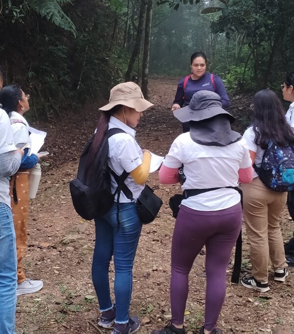 Estudiantes de Gestión Ambiental de UMECIT La Chorrera participan en gira académica durante el Global Big Day Panamá