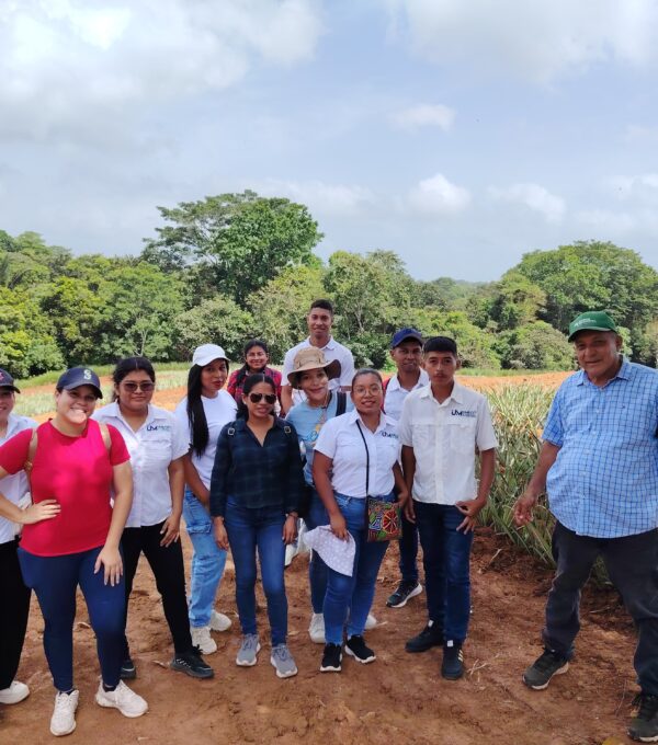 Práctica de campo fortalece la formación en gestión ambiental y producción sostenible de piña